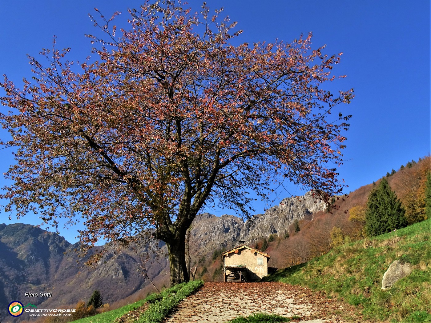 03 Qualche cascina splendente d'autunno sul percorso .JPG